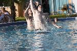 _MG_0437.jpg