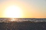 IMG_7981.JPG