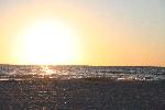 IMG_7982.JPG