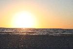 IMG_7996.JPG
