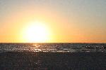 IMG_7998.JPG