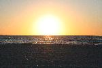 IMG_7999.JPG