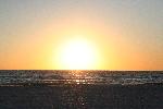 IMG_8000.JPG