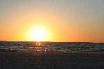 IMG_8002.JPG