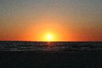 IMG_8014.JPG