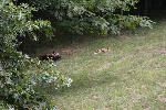 IMG_0333.JPG