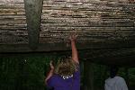 IMG_0473.JPG