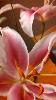 IMG_20150513_191401_156.jpg