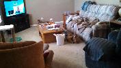 IMG_20150320_125948_551.jpg